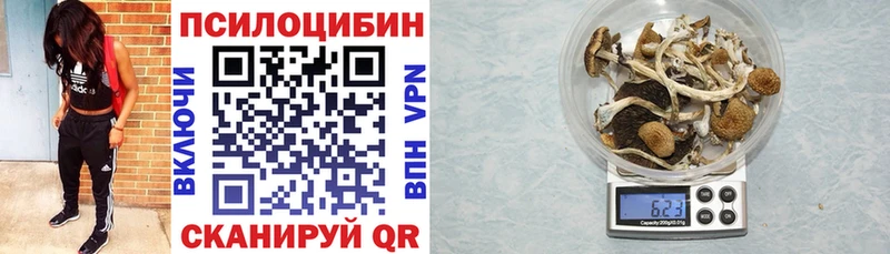купить   Буй  Псилоцибиновые грибы GOLDEN TEACHER 