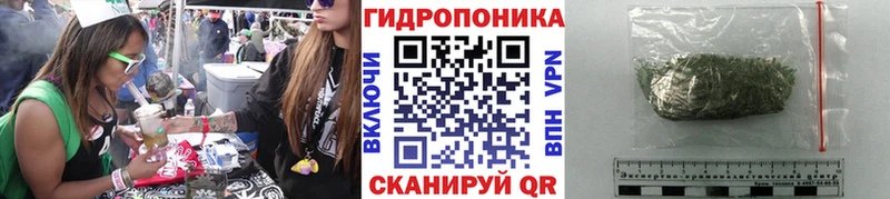 Шишки марихуана план  Буй 